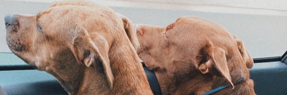 kyerrasnyder's profile banner image