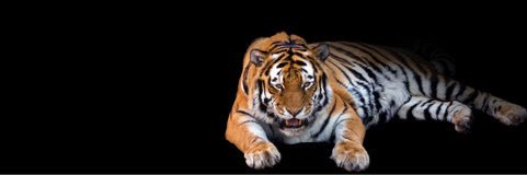 maracay300's profile banner image