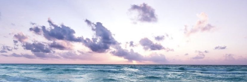 aliceraob's profile banner image