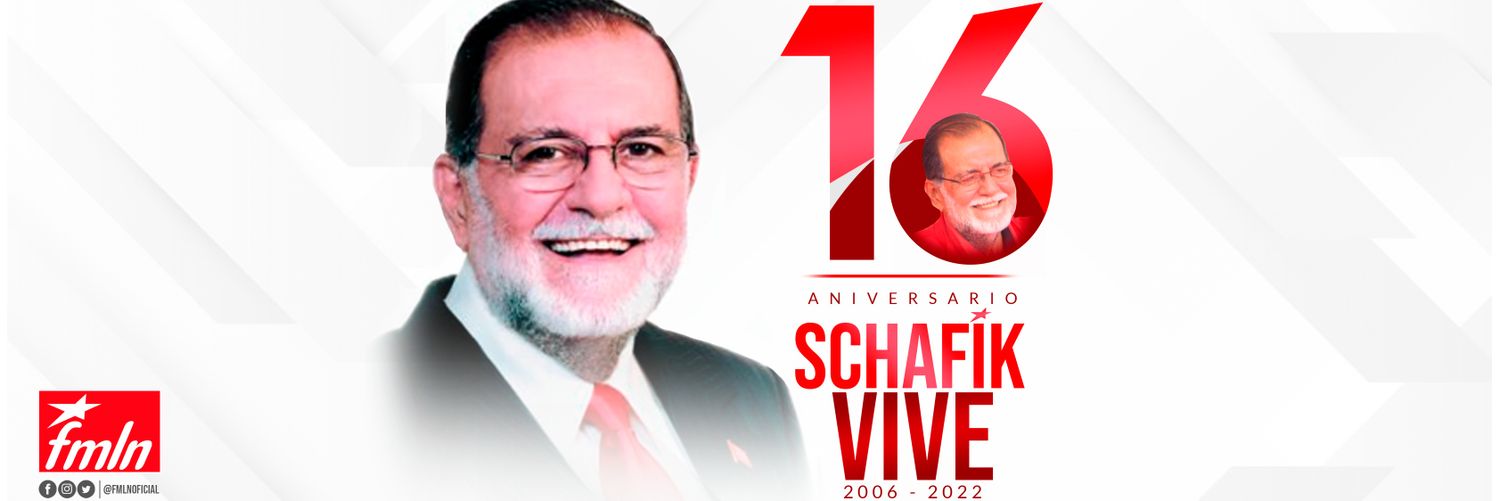 FMLN Oficial banner