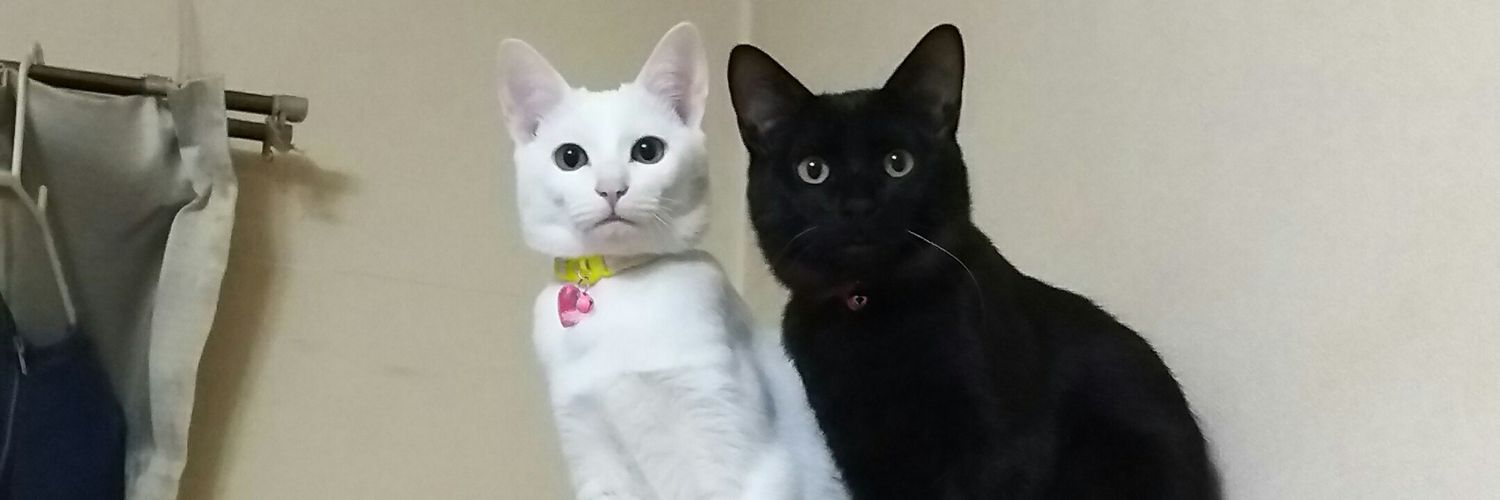 chaamy1's profile banner image
