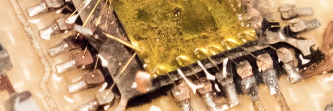 Misha Davidov 🏳️‍⚧️ banner