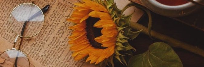 iveee__g's profile banner image
