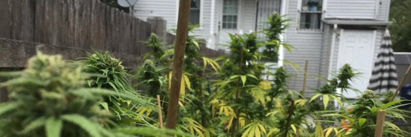 FlipppityFLIP Profile Banner