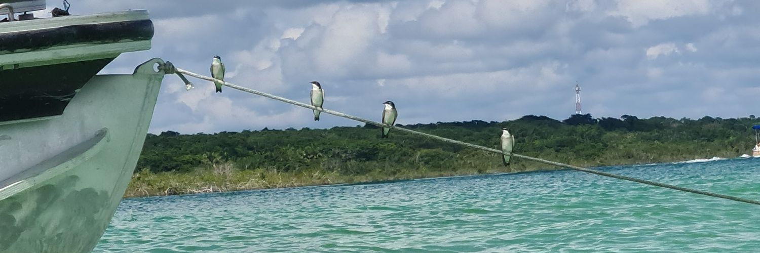 MarcosPatinof's profile banner image