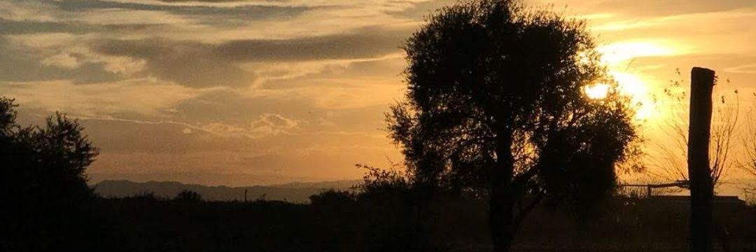MercedesHarache's profile banner image