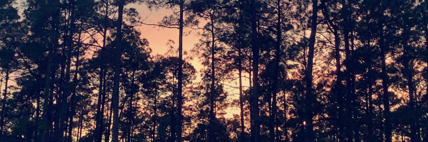 _TaylorMarie16_'s profile banner image