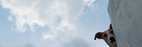 Sanjay R Murty banner