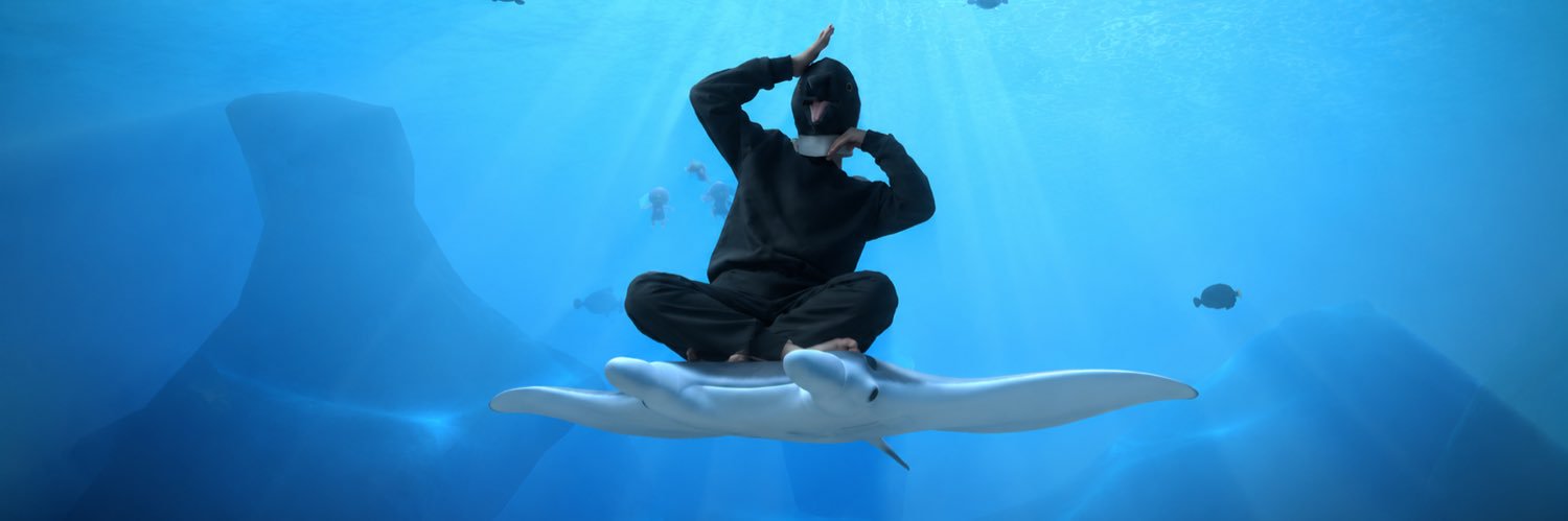 sionpenguin's profile banner image