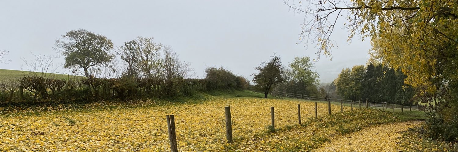 George_Ferridge's profile banner image