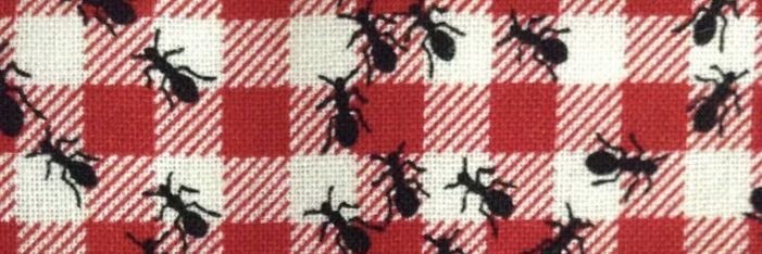 Jules the village idioit banner