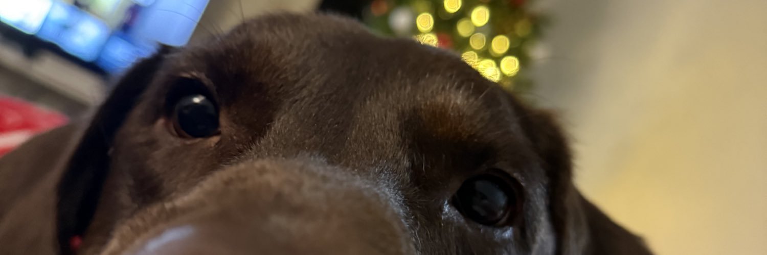 Ckirk_16's profile banner image