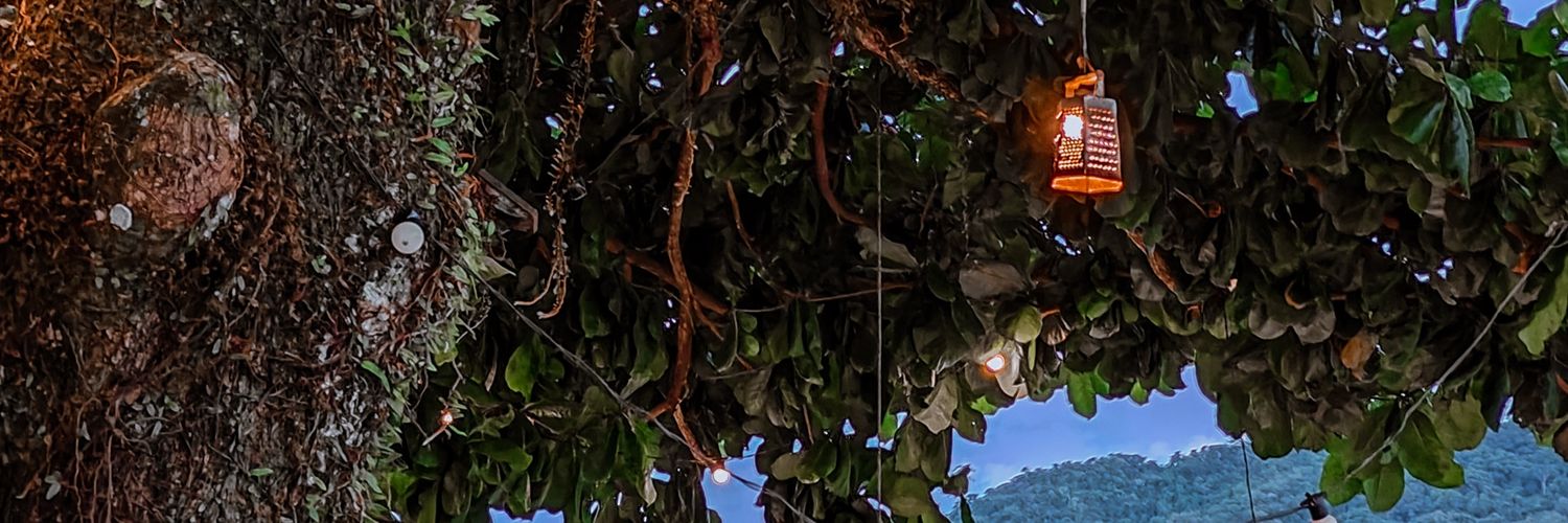 felipelopesrj's profile banner image
