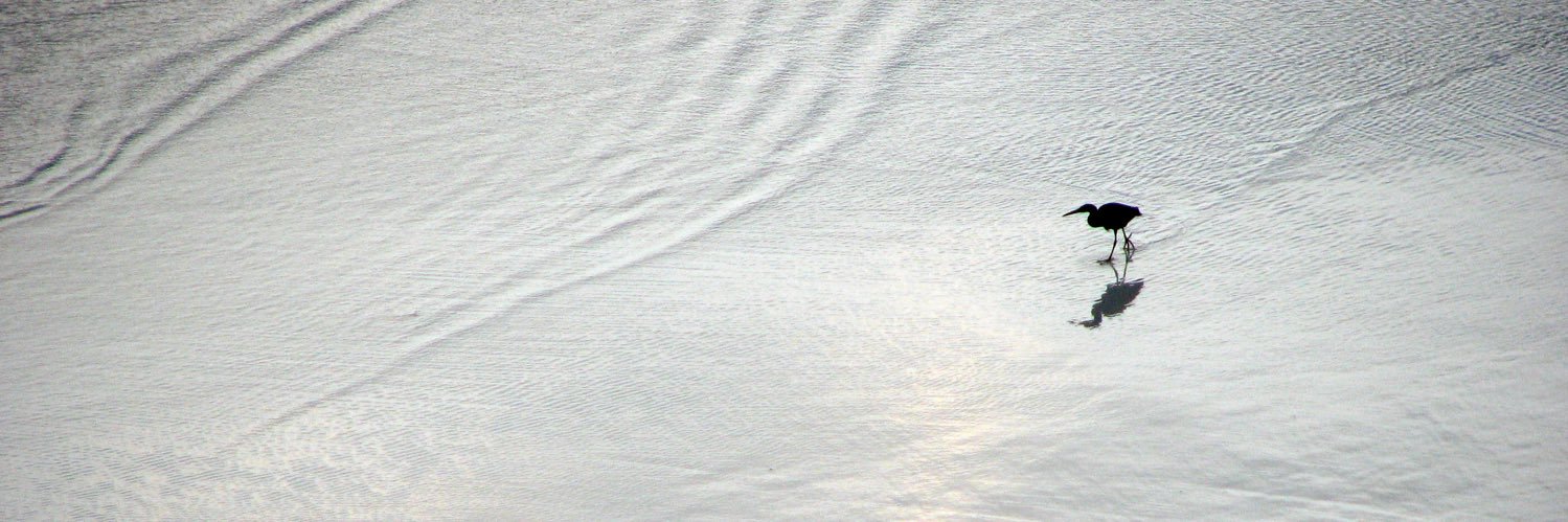 ttimothy's profile banner image