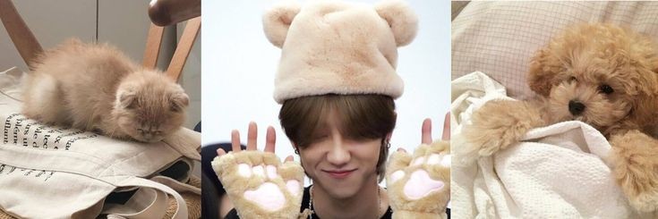 coffeenoodles's profile banner image