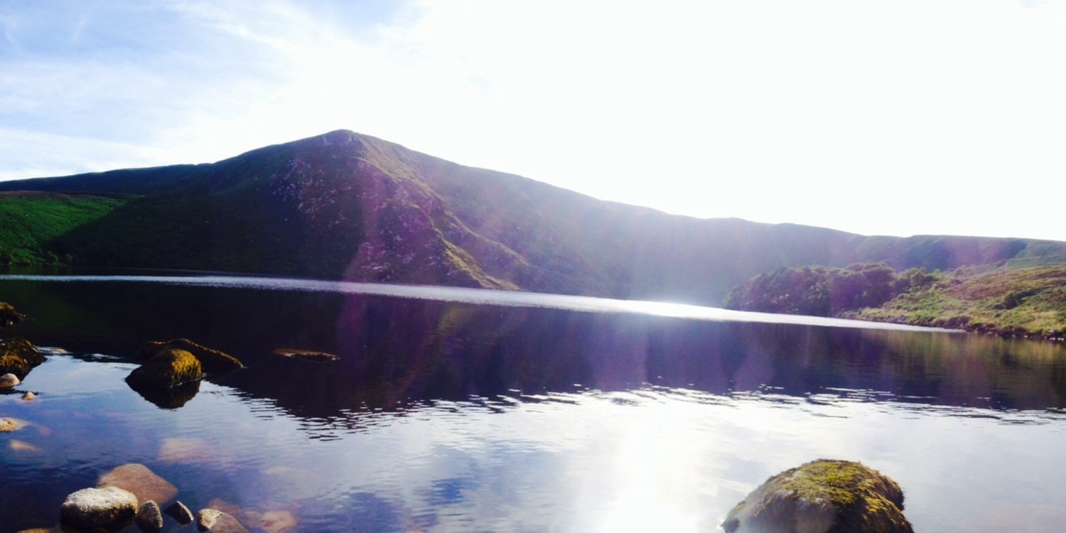 alisondoyle123's profile banner image