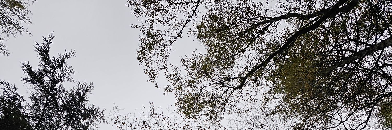 Tom 🌱 banner