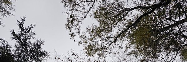 tomkyoto Profile Banner