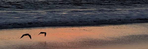 wschultz Profile Banner
