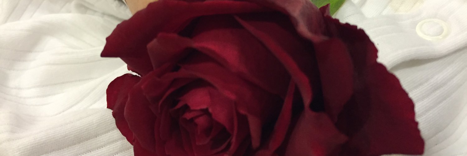 nahed1426's profile banner image
