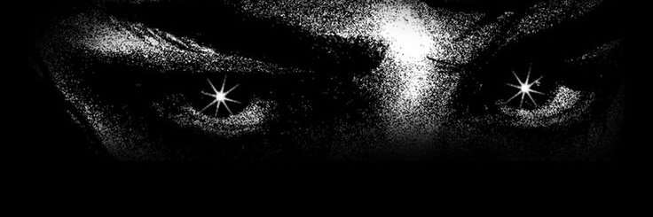 ylo banner