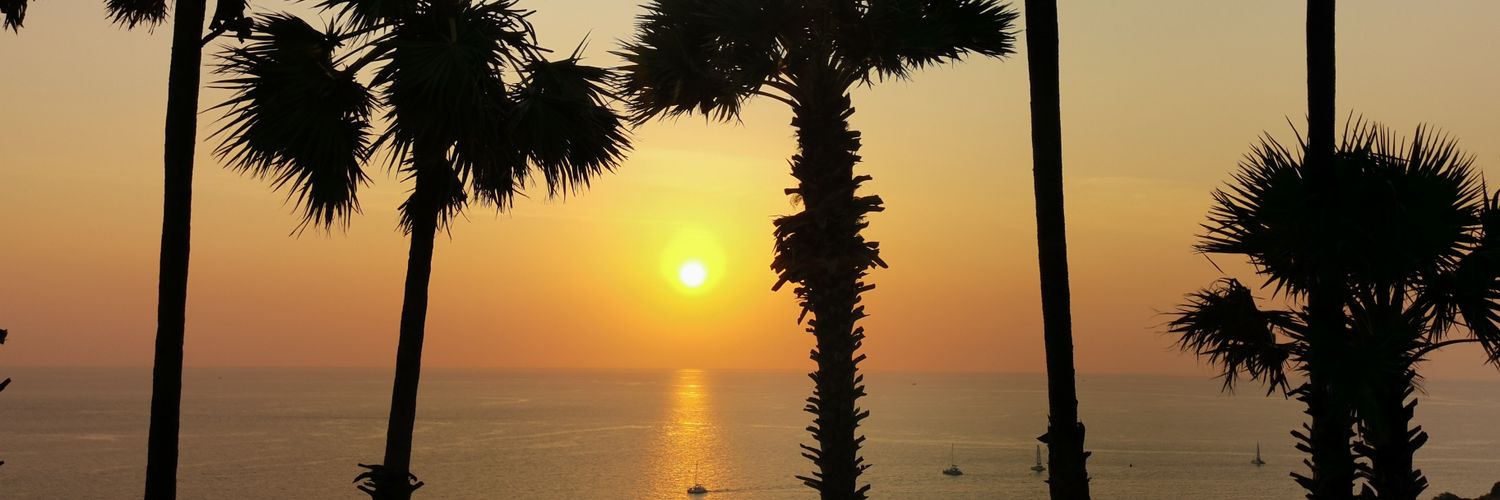 phatty_nicha's profile banner image