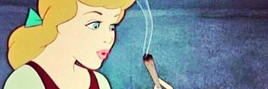 MiliReppetto's profile banner image