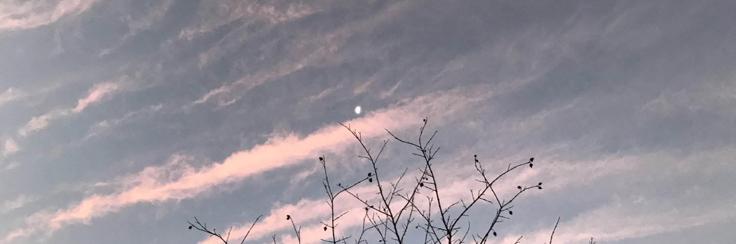 majolv27's profile banner image