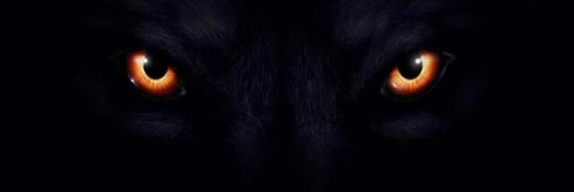 mylastnsme's profile banner image