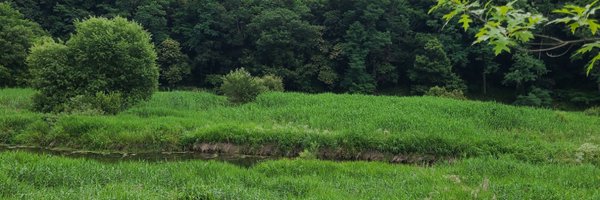 ixieya Profile Banner