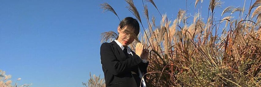 노제 옷장 banner