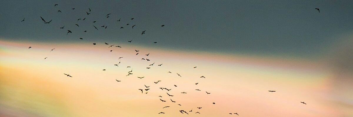 Meeee_le's profile banner image