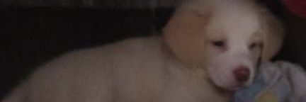 iamtipaay27's profile banner image