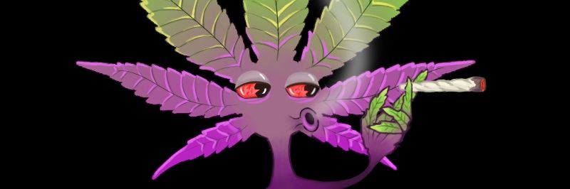 WeedPunkZ ☀️︱$𝗧𝗼𝗸𝗲 𝗧𝗼𝗸𝗲 💨 banner