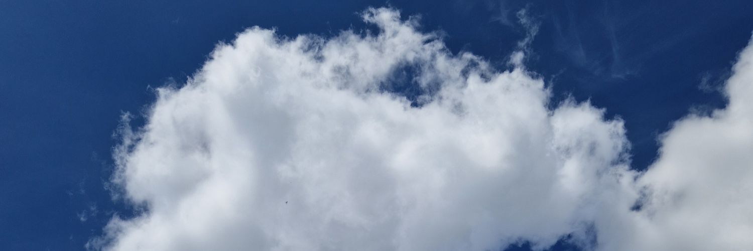 neckoil's profile banner image