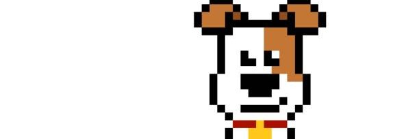 dogsincrypto banner