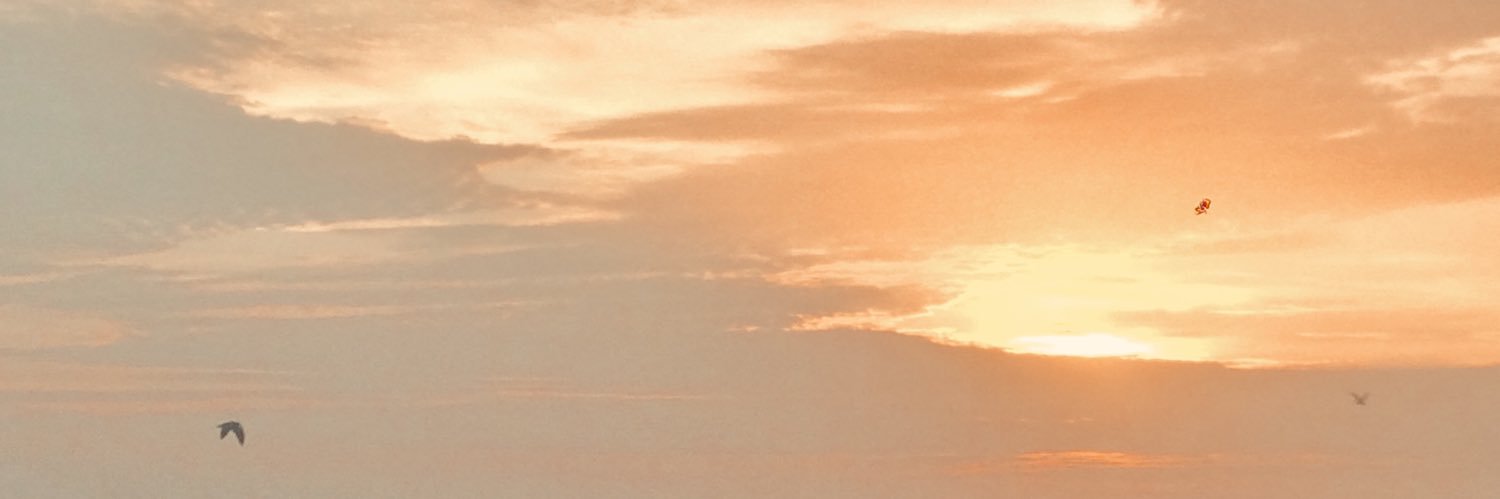 rbkgrcl's profile banner image