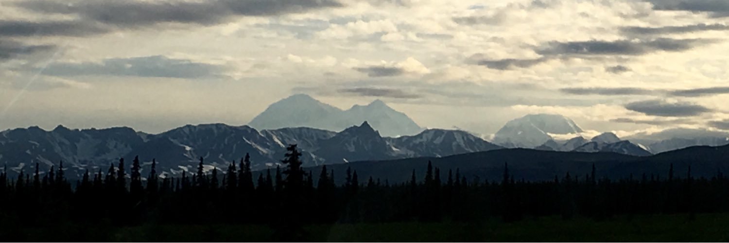 FranMeyer's profile banner image