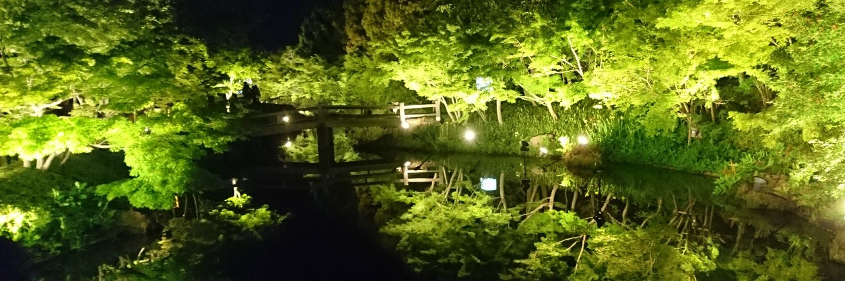 hiyo_flower's profile banner image
