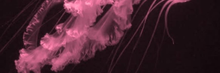 fullofpul's profile banner image