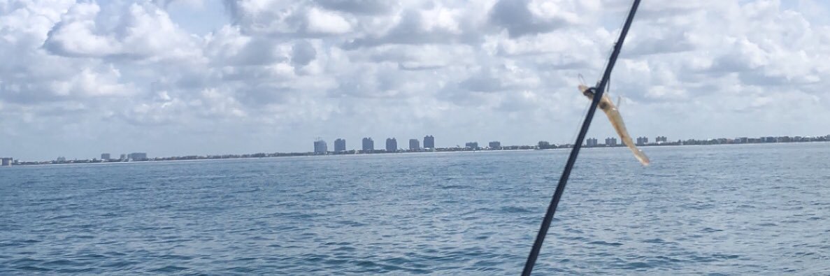 cdolby11's profile banner image