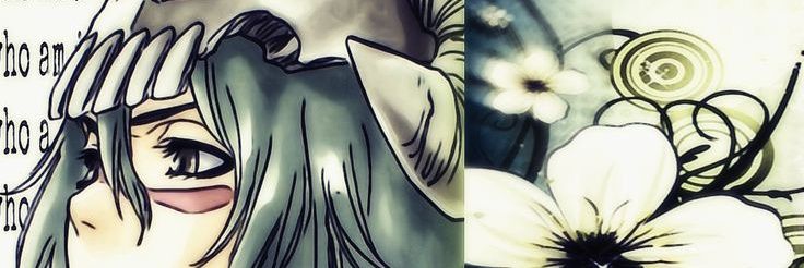 🌷🌸🩰 banner