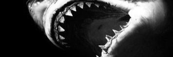 pedrow Profile Banner