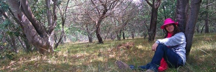 Diana Acevedo banner