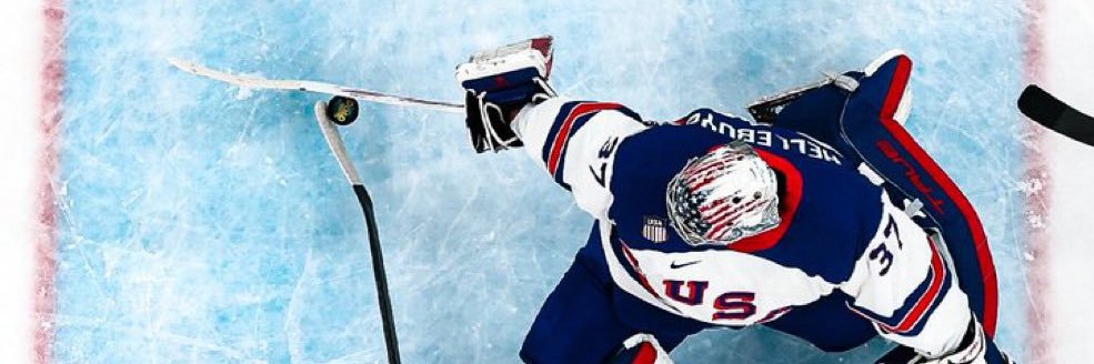 Wild Cards (aka, Wild Hockey) banner