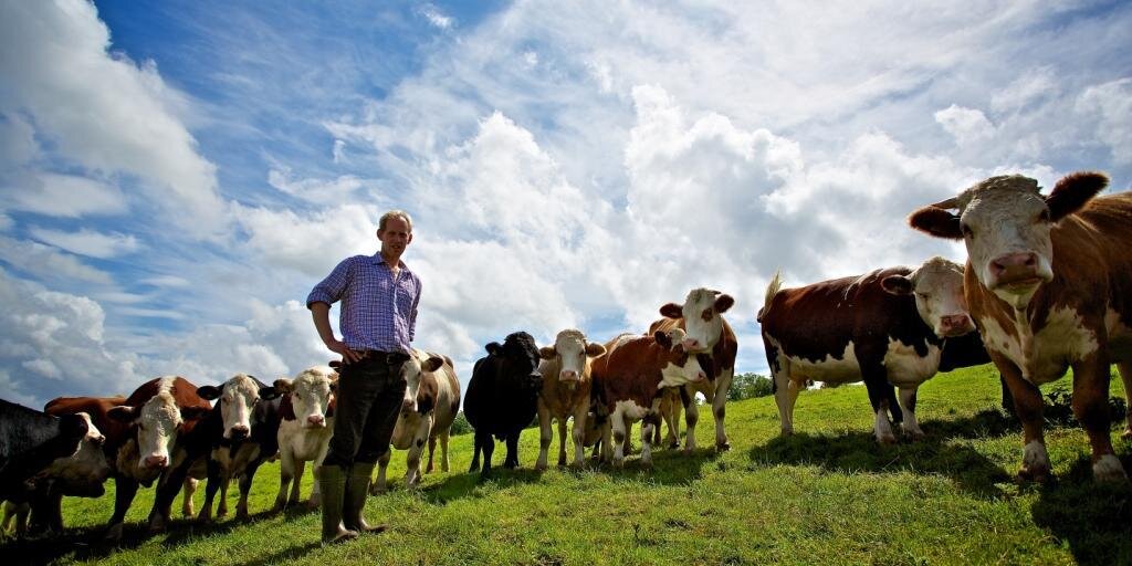 LoveMyCow's profile banner image