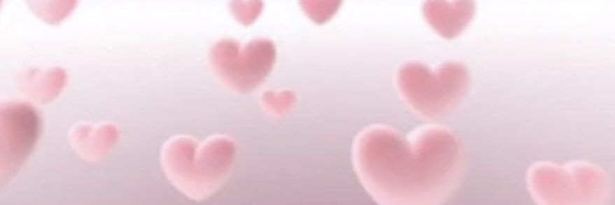 vanessaschrils's profile banner image