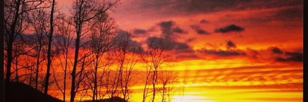 clough6 Profile Banner