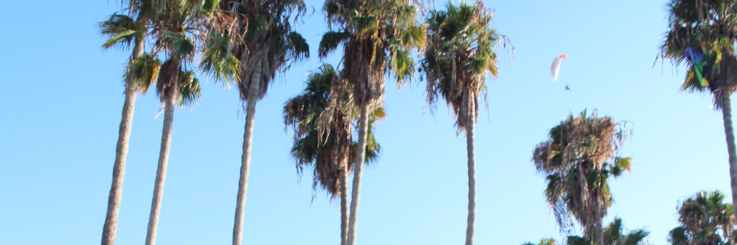 haleymbarber's profile banner image