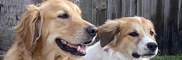 KickboxerEsq Profile Banner